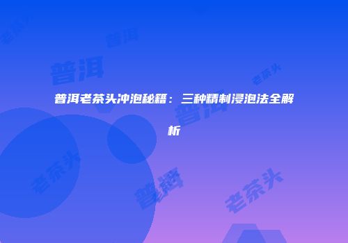 普洱老茶头冲泡秘籍：三种精制浸泡法全解析