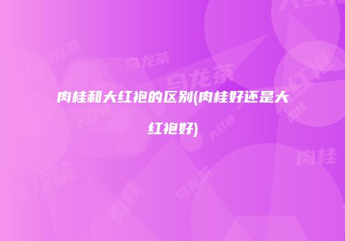 肉桂和大红袍的区别(肉桂好还是大红袍好)