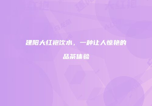 建阳大红袍饮水，一种让人惊艳的品茶体验