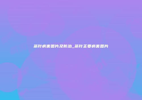 茶叶病害图片及防治_茶叶主要病害图片