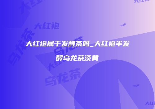 大红袍属于发酵茶吗_大红袍半发酵乌龙茶淡黄