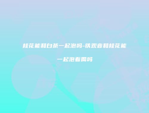 桂花能和白茶一起泡吗-铁观音和桂花能一起泡着喝吗