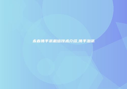 永春佛手茶栽培技术介绍,佛手泡茶