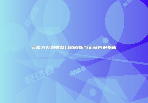 云南大叶碧螺春口感解析与正宗辨识指南