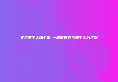 芽茶和毛尖哪个贵-一图看懂芽茶和毛尖的区别