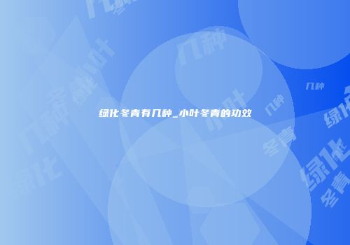 绿化冬青有几种_小叶冬青的功效