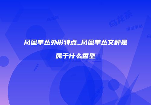 凤凰单丛外形特点_凤凰单丛文种是属于什么香型
