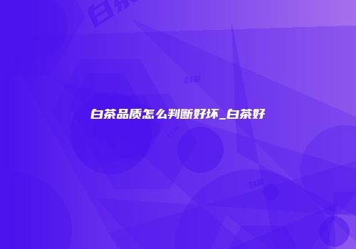 白茶品质怎么判断好坏_白茶好