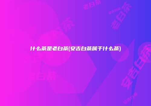 什么茶是老白茶(安吉白茶属于什么茶)