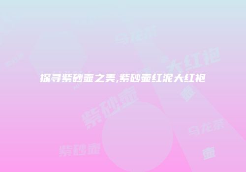 探寻紫砂壶之美,紫砂壶红泥大红袍