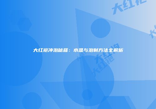大红袍冲泡秘籍：水温与泡制方法全解析
