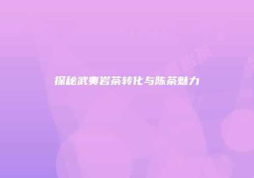 探秘武夷岩茶转化与陈茶魅力