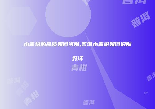 小青柑的品质如何辨别,普洱小青柑如何识别好坏