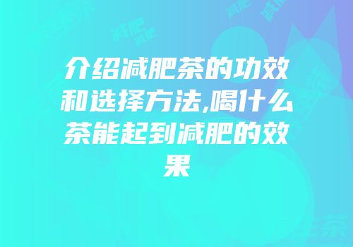 介绍减肥茶的功效和选择方法,喝什么茶能起到减肥的效果