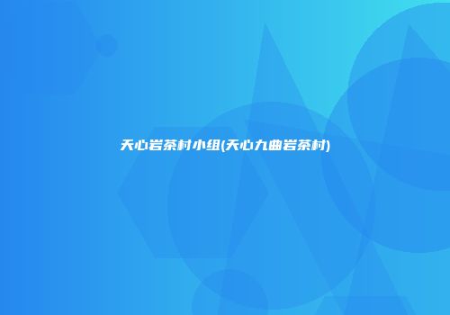 天心岩茶村小组(天心九曲岩茶村)