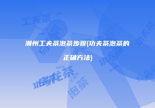 潮州工夫茶泡茶步骤(功夫茶泡茶的正确方法)