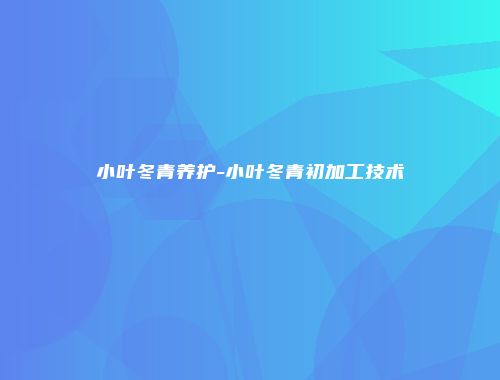 小叶冬青养护-小叶冬青初加工技术