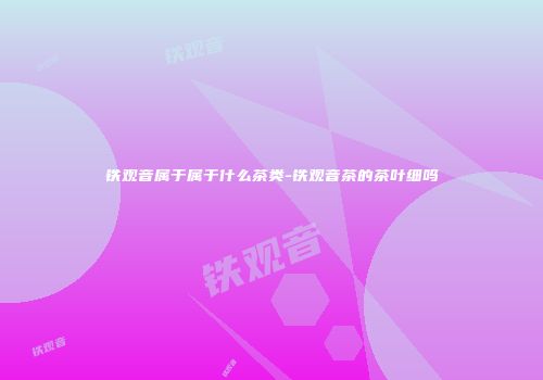 铁观音属于属于什么茶类-铁观音茶的茶叶细吗