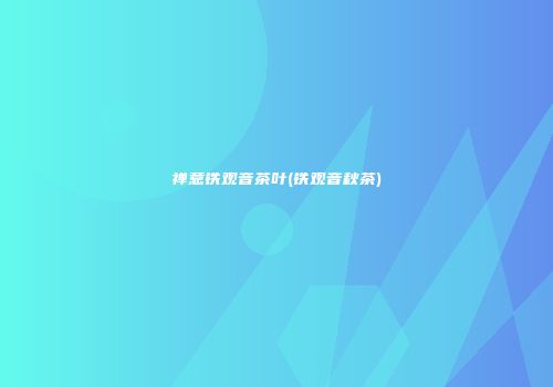 禅意铁观音茶叶(铁观音秋茶)