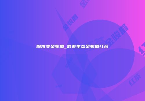 桐木关金骏眉_武夷生态金骏眉红茶