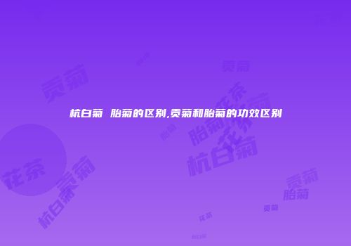 杭白菊 胎菊的区别,贡菊和胎菊的功效区别