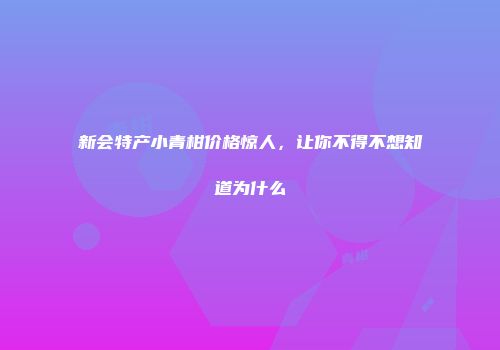 新会特产小青柑价格惊人，让你不得不想知道为什么