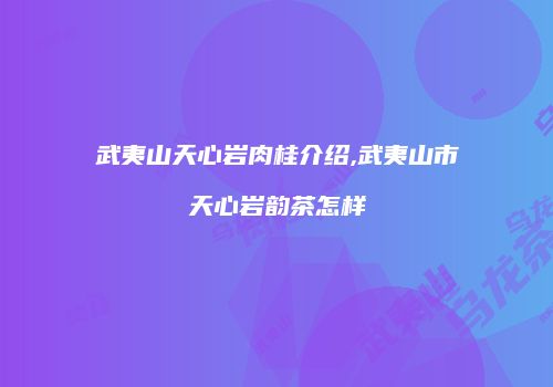 武夷山天心岩肉桂介绍,武夷山市天心岩韵茶怎样