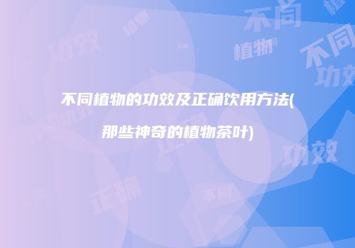 不同植物的功效及正确饮用方法(那些神奇的植物茶叶)