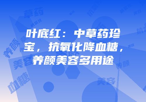 叶底红：中草药珍宝，抗氧化降血糖，养颜美容多用途