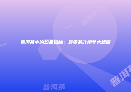 普洱茶中的珍品揭秘：最贵茶叶榜单大起底