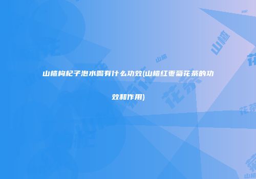 山楂枸杞子泡水喝有什么功效(山楂红枣菊花茶的功效和作用)