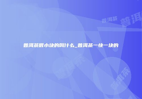 普洱茶很小块的叫什么_普洱茶一快一块的