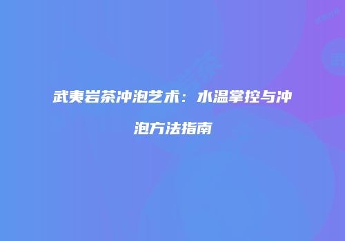 武夷岩茶冲泡艺术：水温掌控与冲泡方法指南