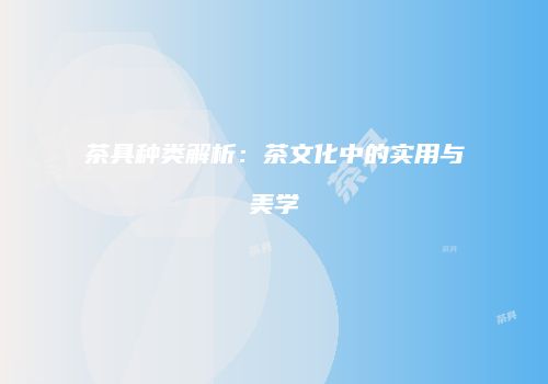 茶具种类解析：茶文化中的实用与美学