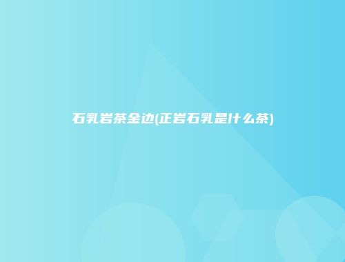 石乳岩茶金边(正岩石乳是什么茶)