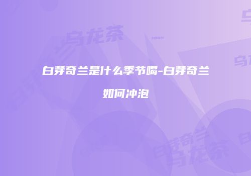 白芽奇兰是什么季节喝-白芽奇兰如何冲泡