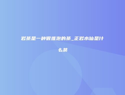 岩茶是一种很难泡的茶_正岩水仙是什么茶