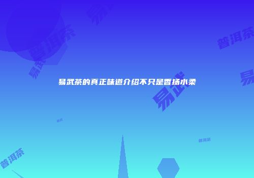 易武茶的真正味道介绍不只是香扬水柔