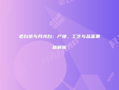 老白茶与月光白：产地、工艺与品鉴奥秘解析