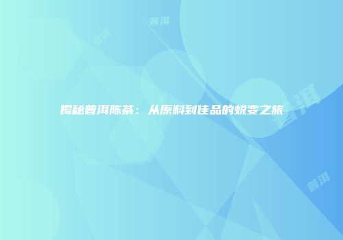 揭秘普洱陈茶：从原料到佳品的蜕变之旅