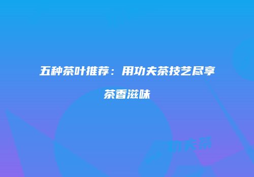 五种茶叶推荐：用功夫茶技艺尽享茶香滋味