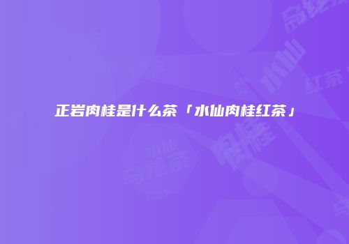 正岩肉桂是什么茶「水仙肉桂红茶」