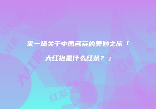 来一场关于中国名茶的美妙之旅「大红袍是什么红茶？」