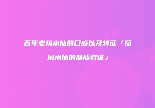 百年老枞水仙的口感以及特征「凤凰水仙的品质特征」