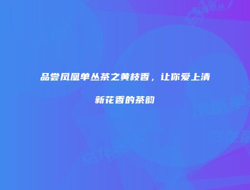 品尝凤凰单丛茶之黄枝香，让你爱上清新花香的茶韵