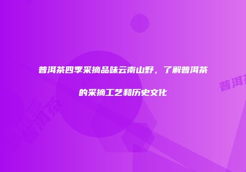 普洱茶四季采摘品味云南山野，了解普洱茶的采摘工艺和历史文化