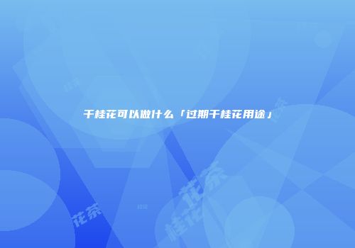 干桂花可以做什么「过期干桂花用途」