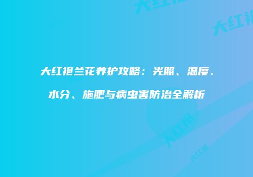 大红袍兰花养护攻略：光照、温度、水分、施肥与病虫害防治全解析