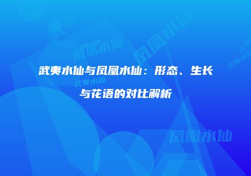 武夷水仙与凤凰水仙：形态、生长与花语的对比解析