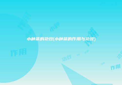 小种茶的功效(小种茶的作用与功效)